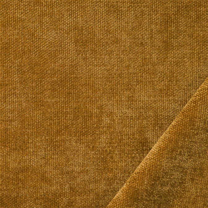 SOURCE_EDITION_03_Amber