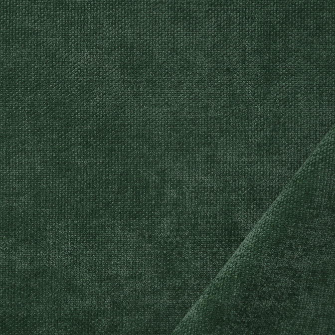 SOURCE_EDITION_04_Forest