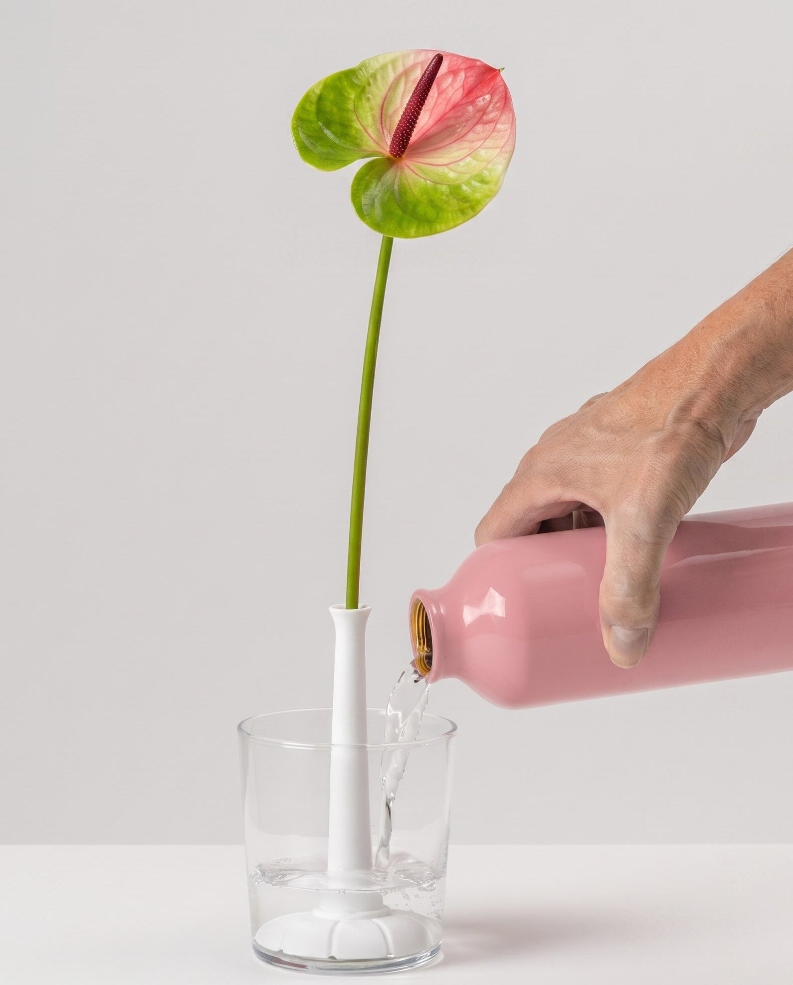 Miniflore No.2, unglazed porcelain minimalist vase with flower, in a glass holder filled with water showing function