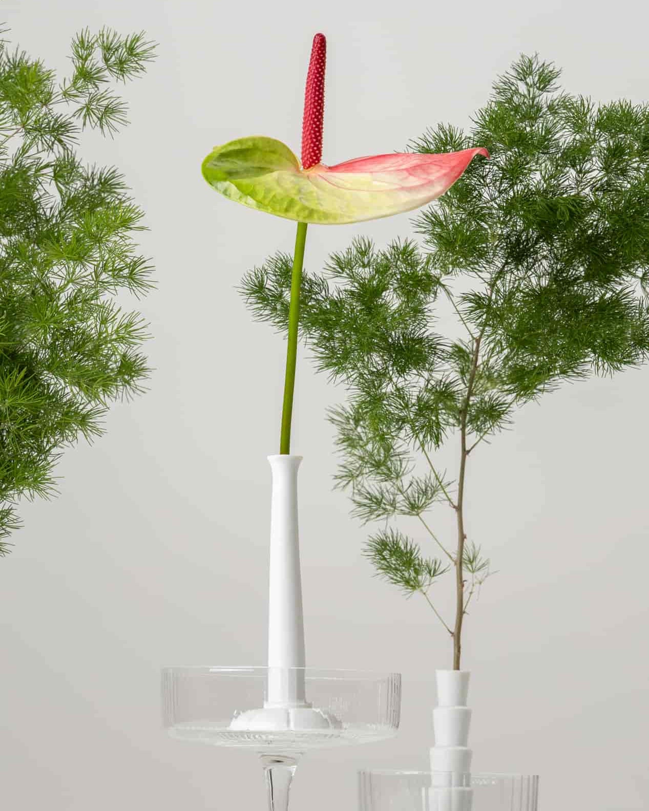 Set of Miniflore No.1 and No.2, unglazed porcelain minimalist vase with flowers, in glass holders