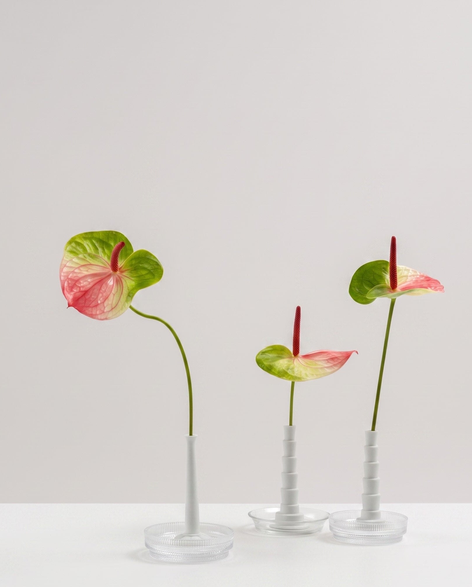 Set of Miniflore No.1 and No.2, unglazed porcelain minimalist vase with flowers, in glass holders