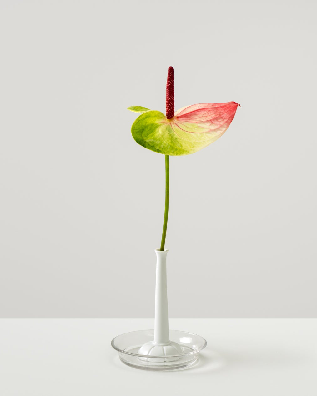Miniflore No.2, unglazed porcelain minimalist vase with flower, in a glass holder