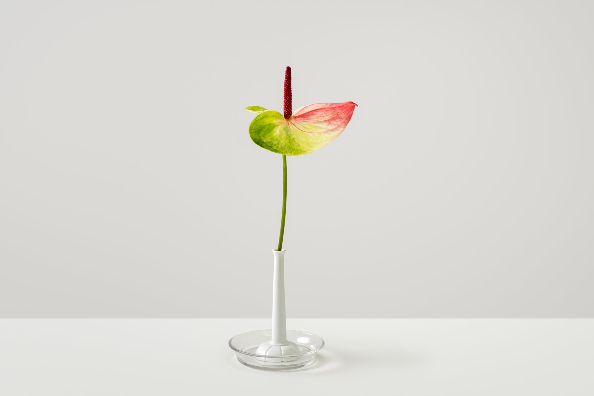 Miniflore n°2, 1970