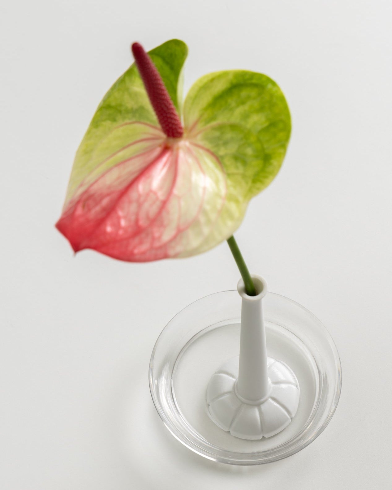 Miniflore No.2, unglazed porcelain minimalist vase with flower, in a glass holder, top view 